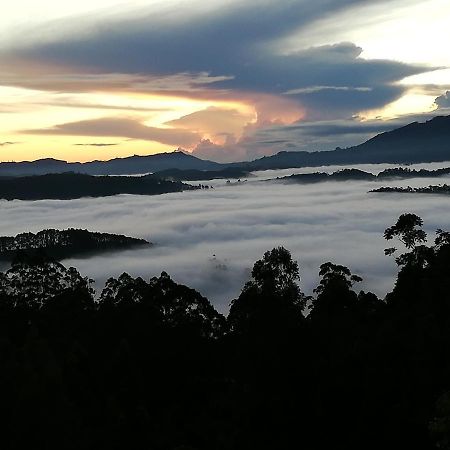 Ohiya Mount Plaza Apartment Boralanda Bagian luar foto