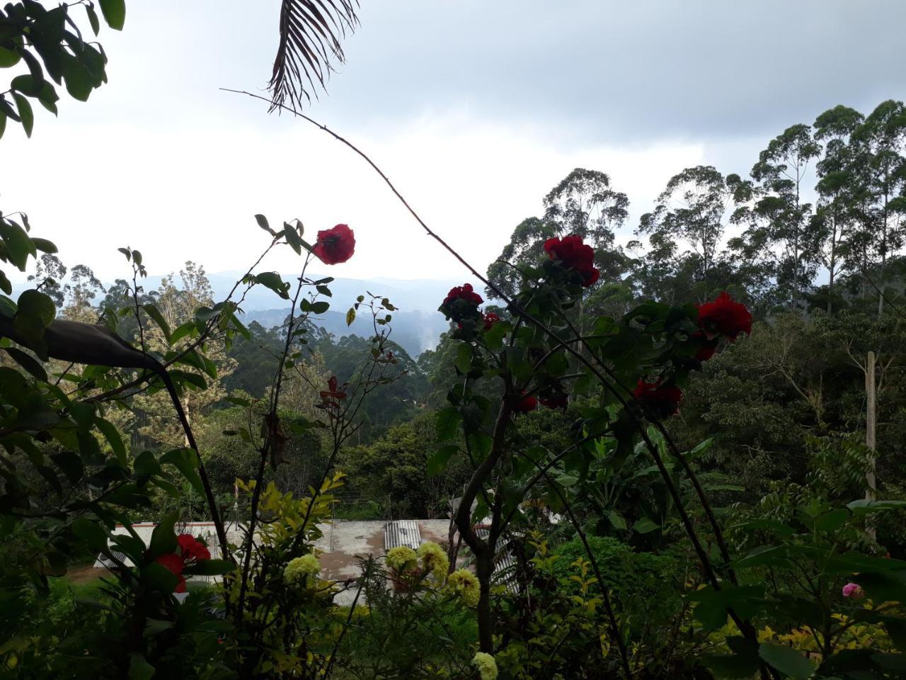 Ohiya Mount Plaza Apartment Boralanda Bagian luar foto